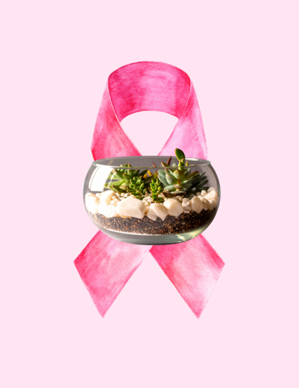 The Pink Palette Project: Breast Cancer Awareness Month